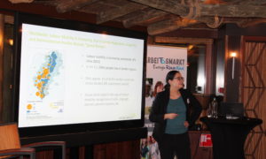 Arbeidsmarkt in de grensregio